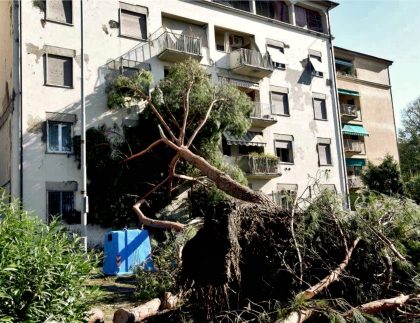 effetti downburst firenze 1 agosto 2015