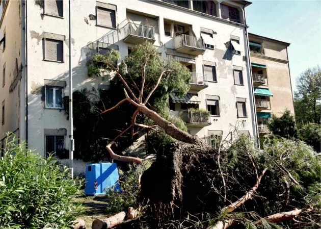 effetti downburst firenze 1 agosto 2015