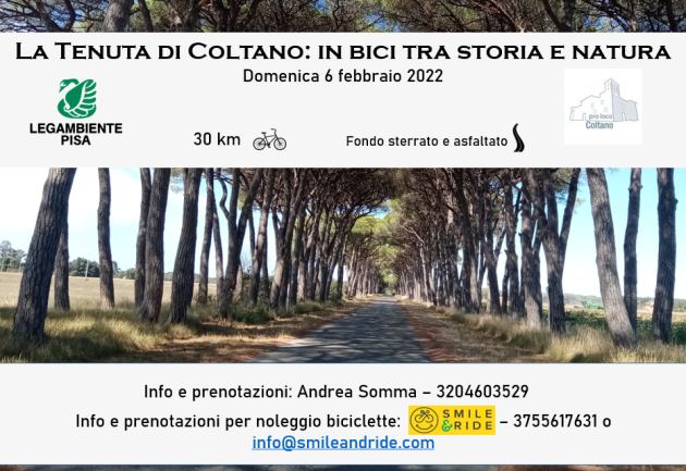 immagine di un bosco per promuovere un'escursione in bici