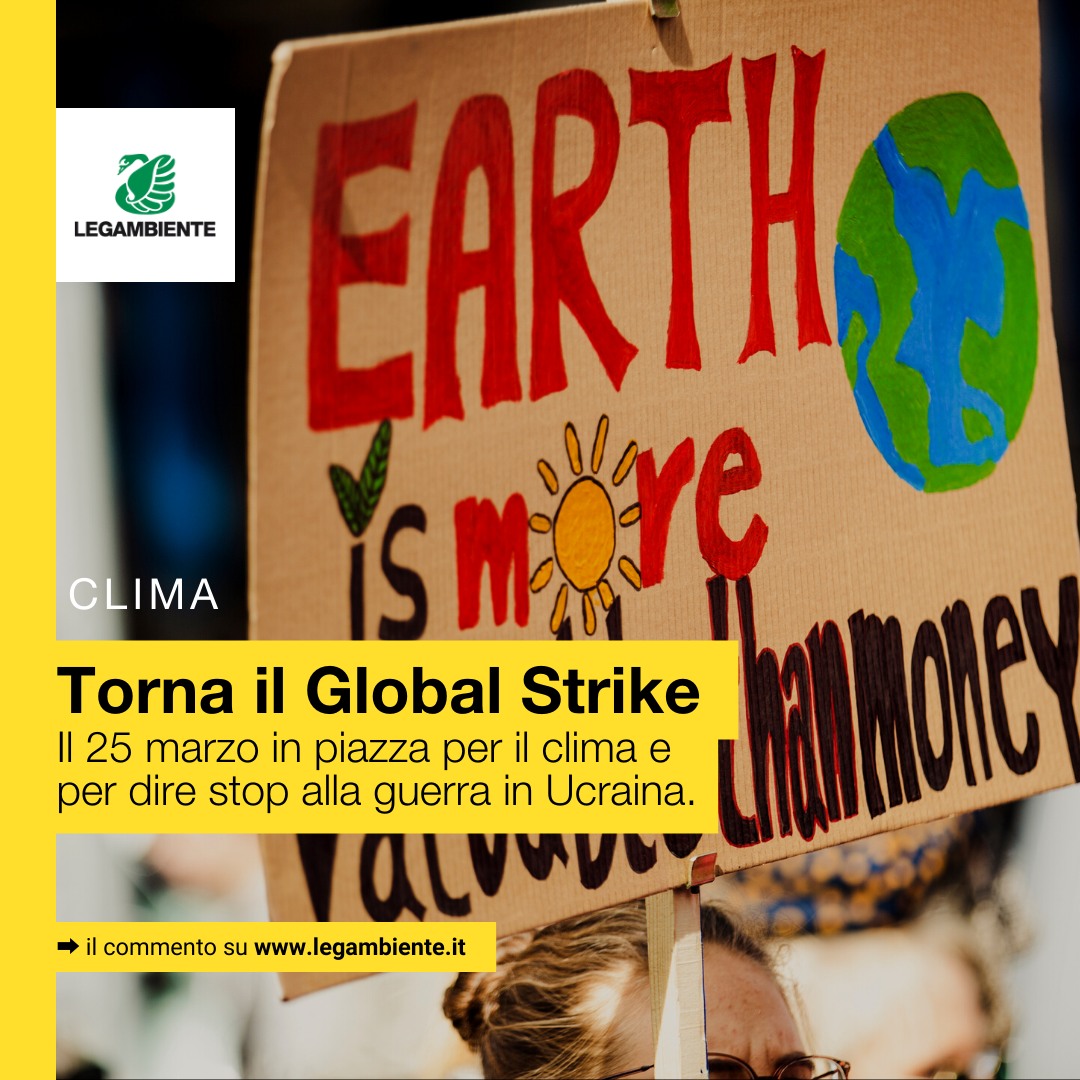 locandina dello sciopero globale per il clima