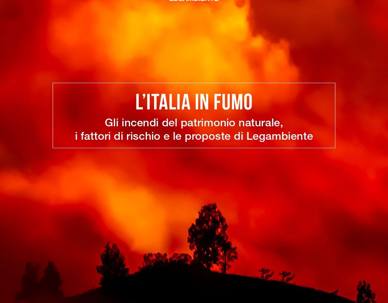 Immagine di un bosco in fiamme