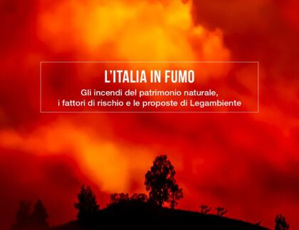 Immagine di un bosco in fiamme