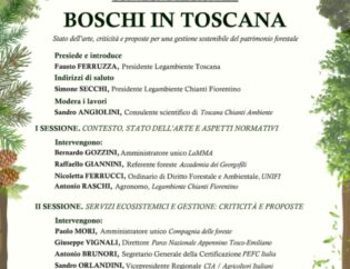 Locandina convegno boschi in Toscana