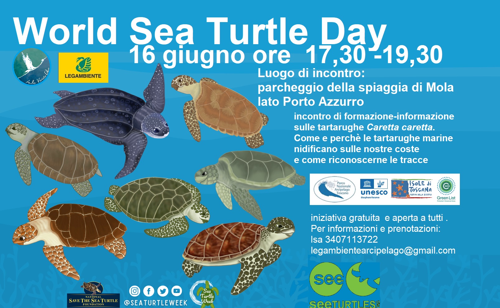 L'immagine rappresenta più specie diverse di tartarughe sotto il mare con le info scritte dell'evento a fianco