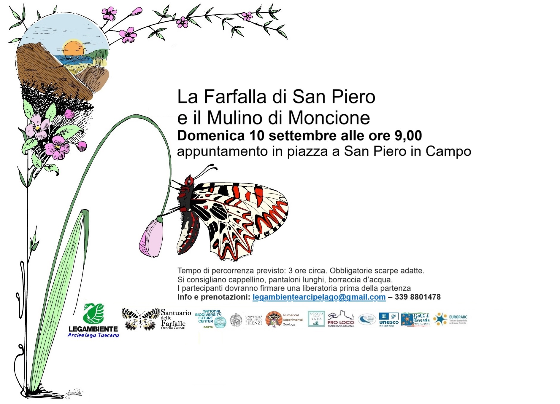 Immagine di una farfalla su uno stelo d'erba, con le informazioni per partecipare.
